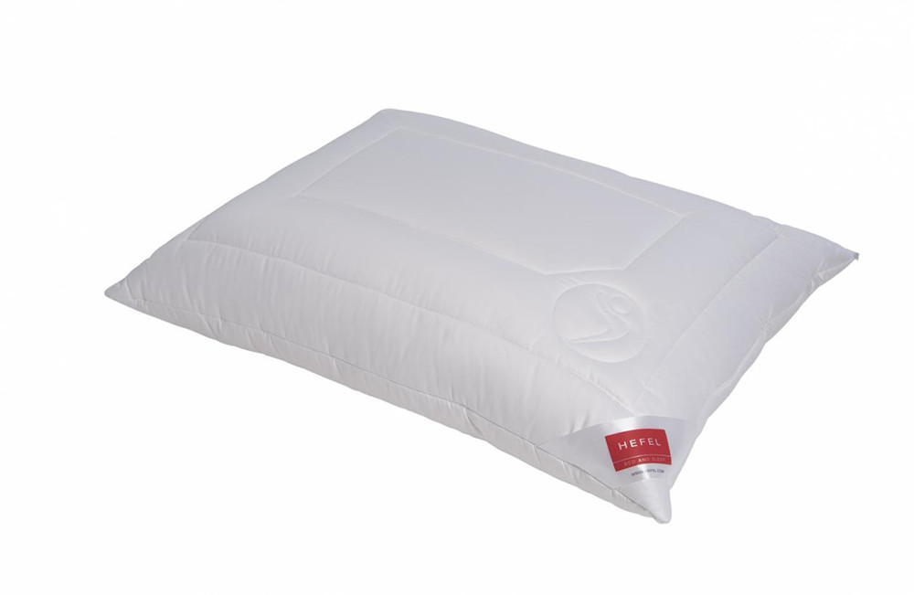 Wellness Allergic Vitasan Kissen